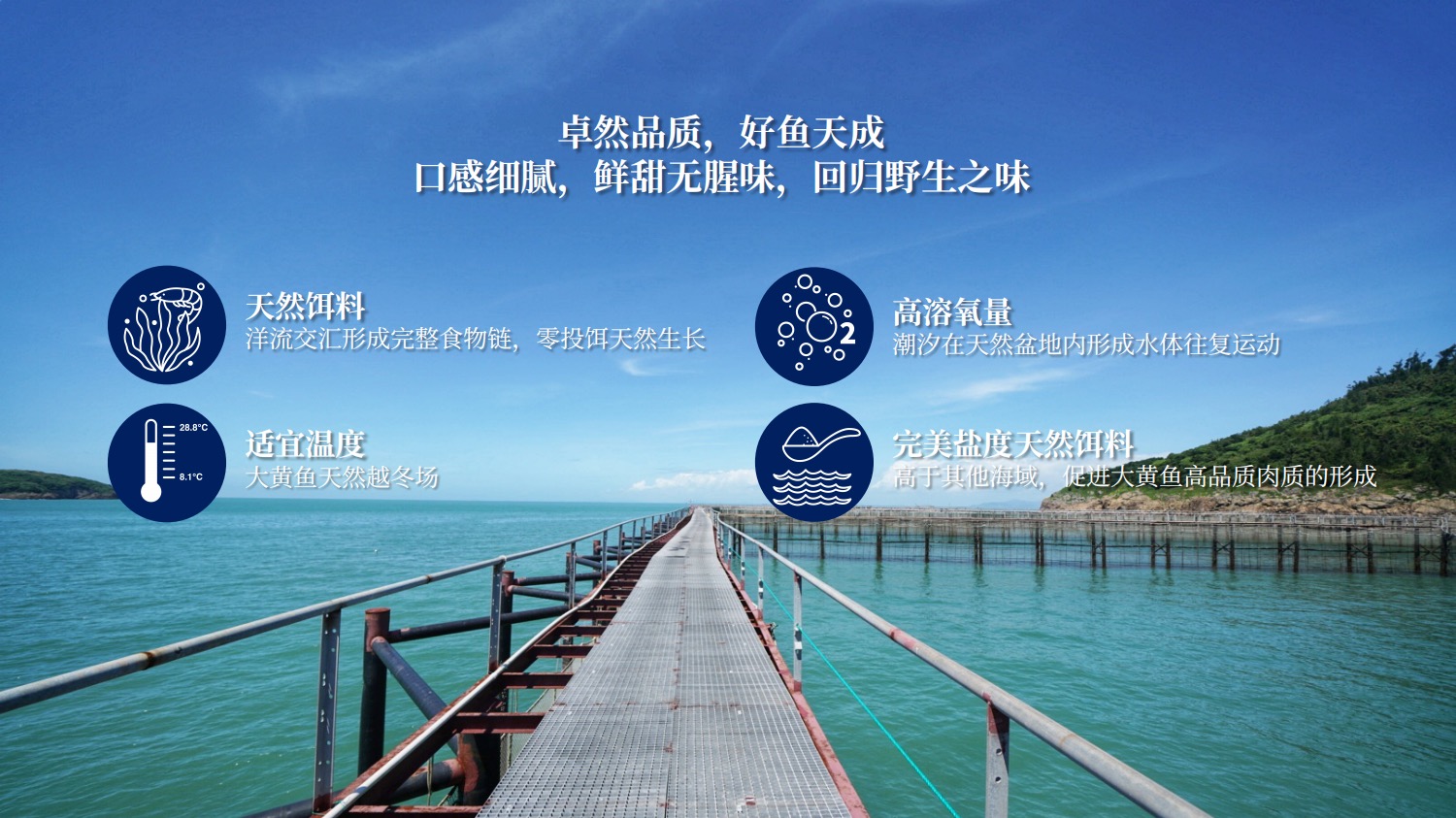 media/autoload/2107/229299.jpg 微信圖片_20210718194347.jpg
