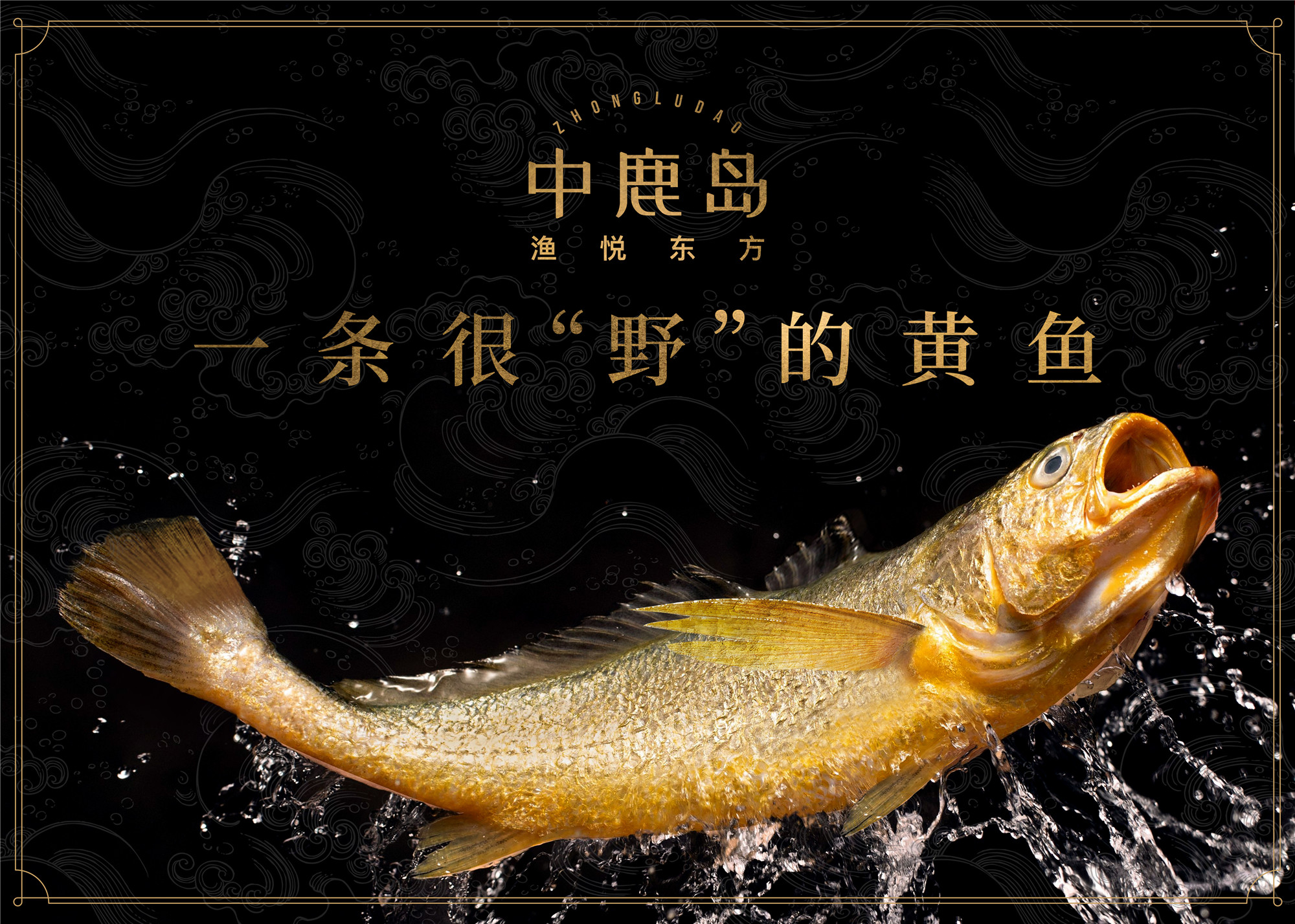 media/autoload/2111/186720.jpg 微信圖片_20211019093908.jpg