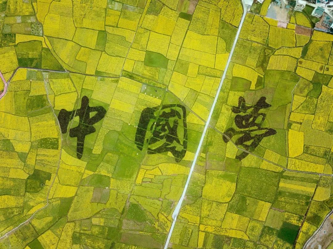 media/autoload/2202/108071.jpg 中農38.jpg