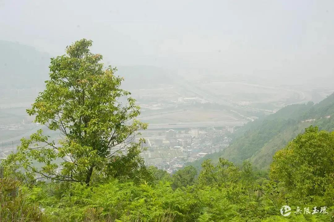 media/autoload/2202/149863.jpg 總3.jpg