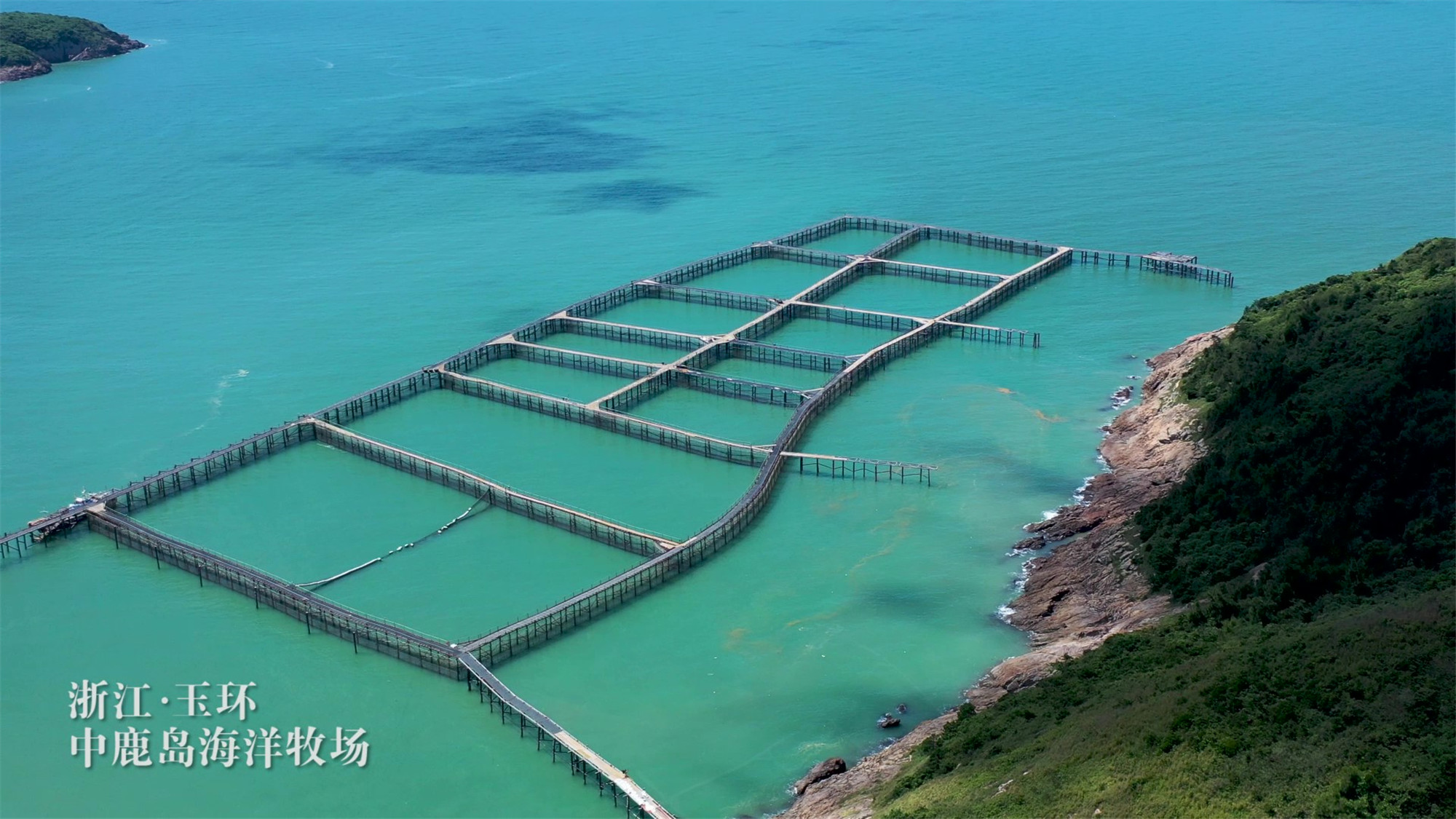 media/autoload/2209/211563.jpg 25 海洋直送餐桌中鹿島大黃魚_Moment.jpg