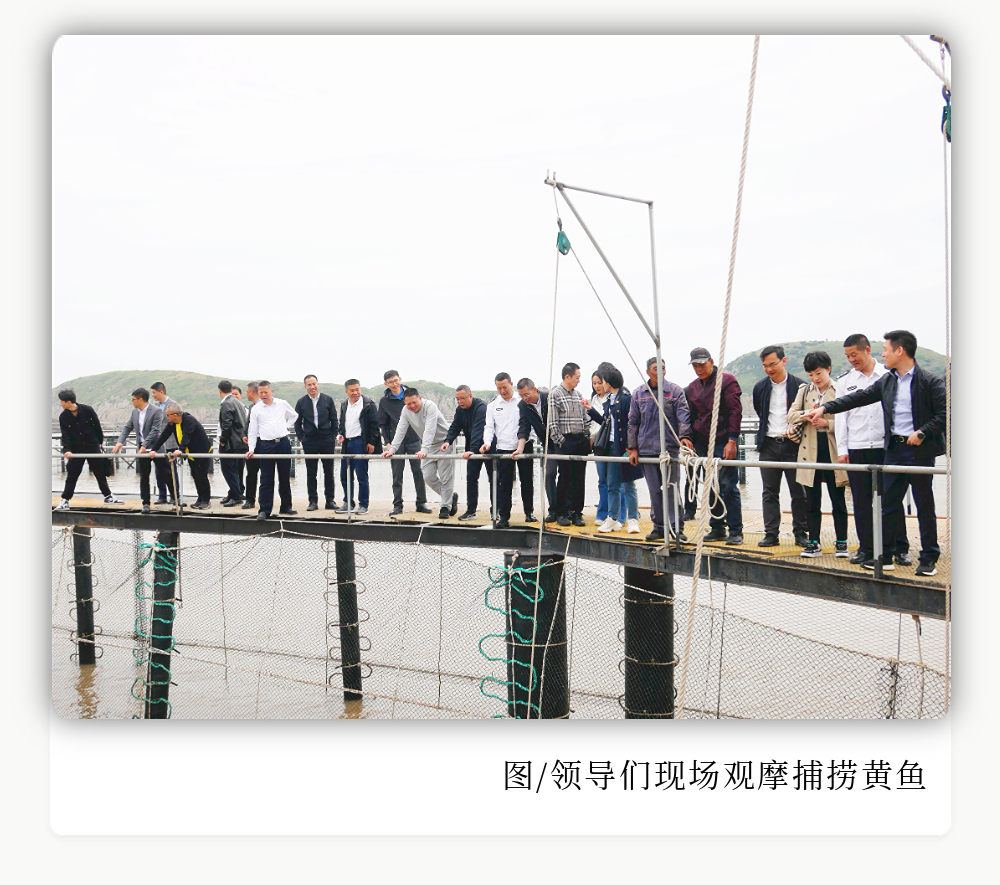 稿定設計-4.png