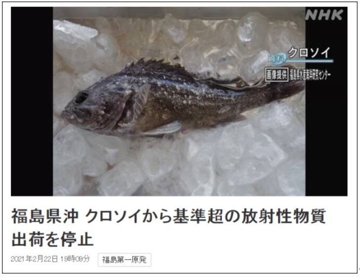 media/autoload/2401/035784.png 2.png