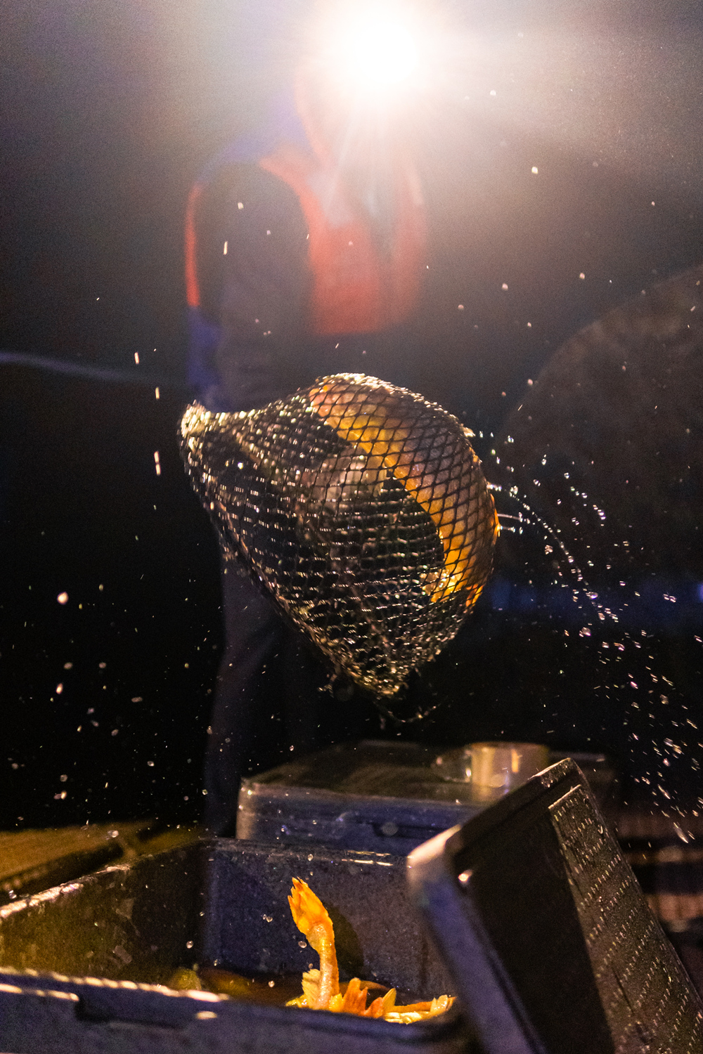 media/autoload/2406/078751.jpg 夜捕大黃魚.jpg