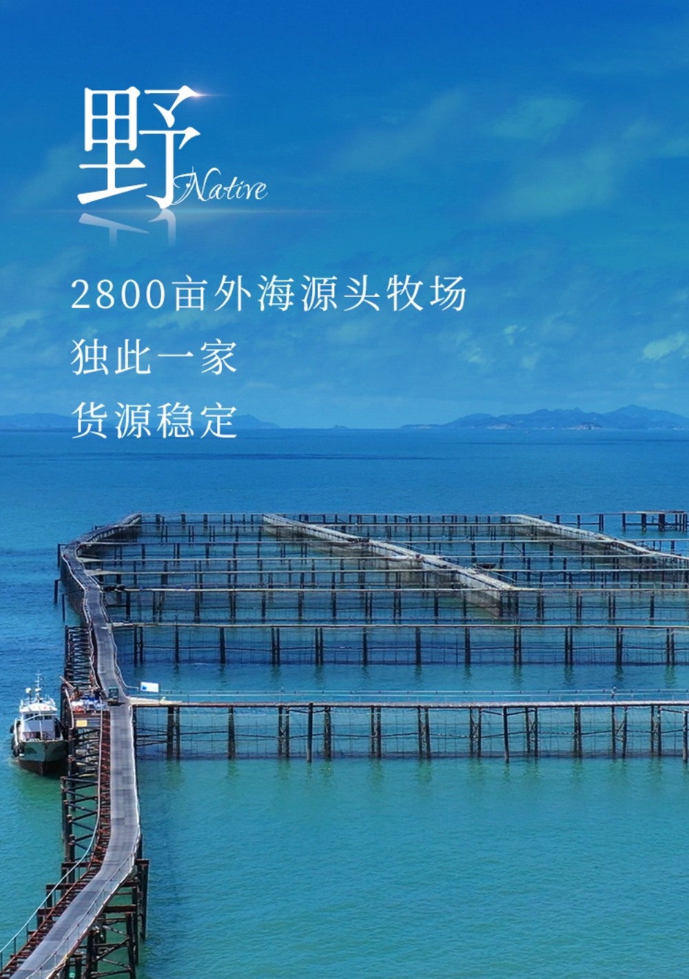 稿定設(shè)計(jì)-6.jpg