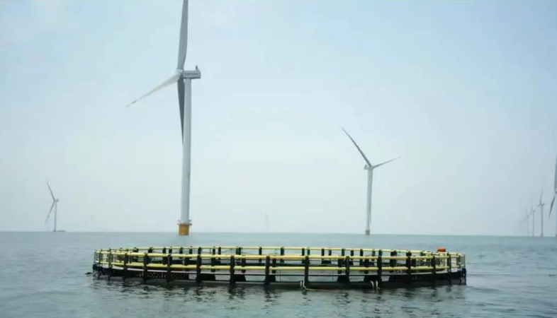 media/autoload/2509/011997.png 2海上風(fēng)電拓新路.png