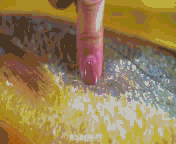 media/autoload/2006/231904.gif 微信圖片_20200623202353.gif
